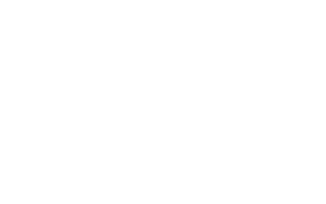 HEDVA ČESKÝ BROKÁT