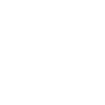 L&P CAMPER VAN